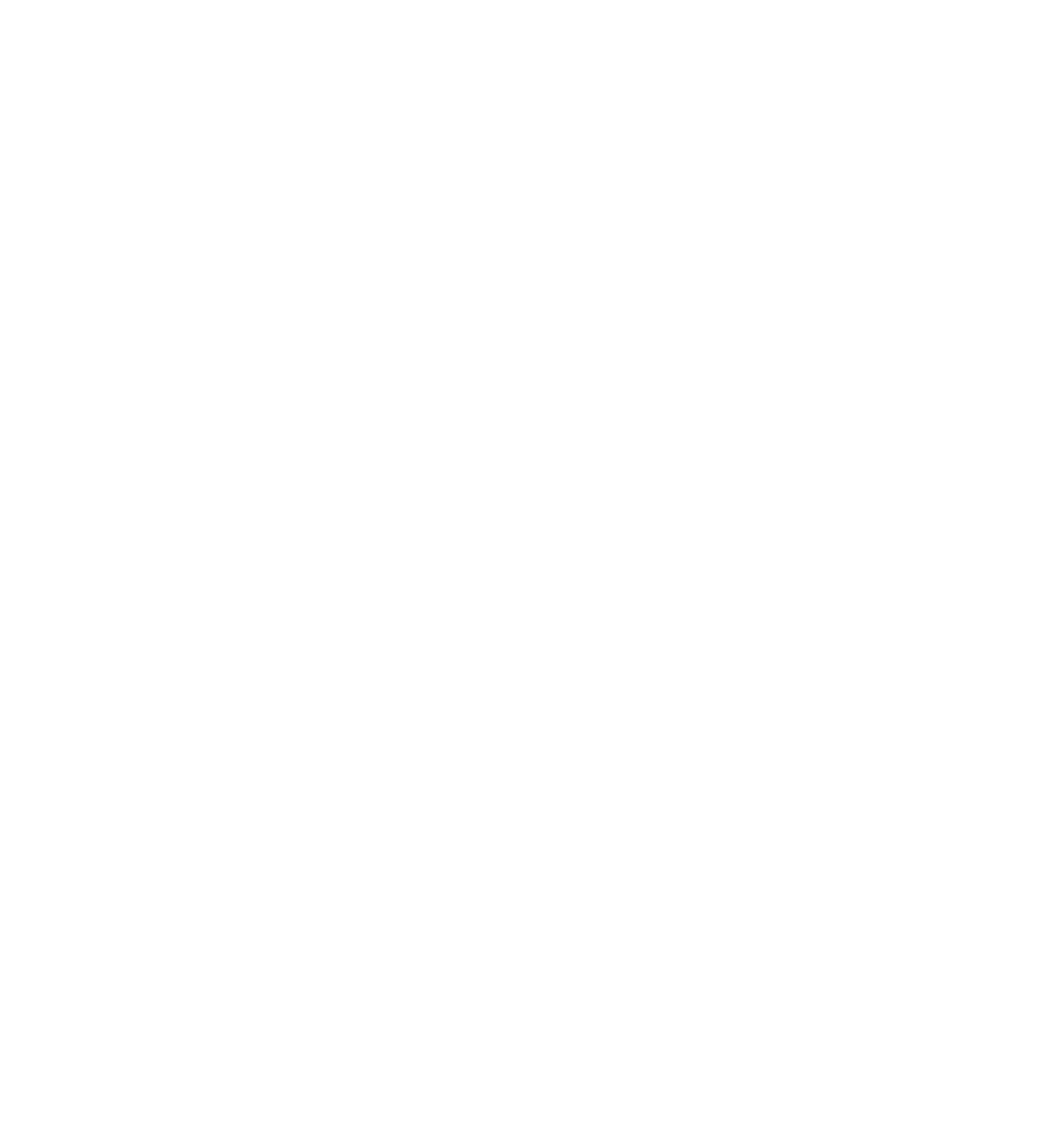 FLOCK gull icon
